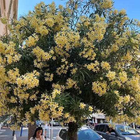 La Palmeraie B Διαμέρισμα